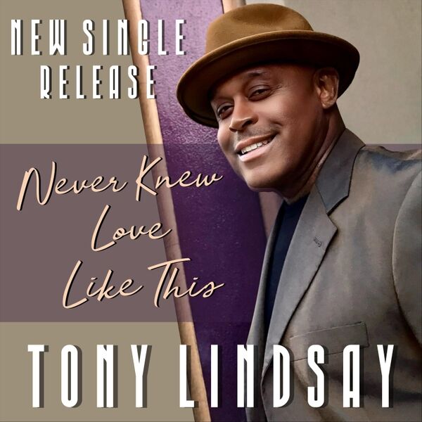 Cover art for Never Knew Love Like This