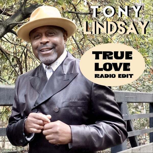 Cover art for True Love (Radio Edit)